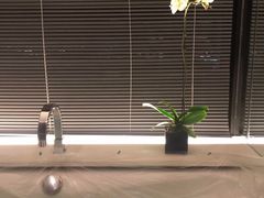 -上海璞麗酒店