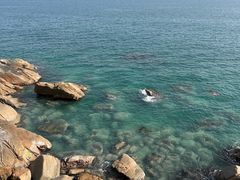 -广东惠东海龟国家级自然保护区