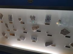 -上海昆虫博物馆