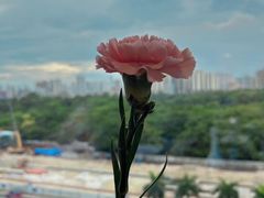 -景湖轩全日制餐厅·南湖名都
