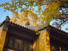 -灵谷景区