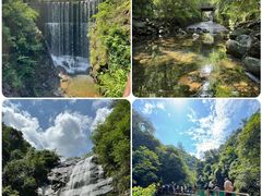 -大奇山国家森林公园