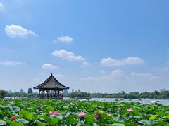 -济南大明湖景区