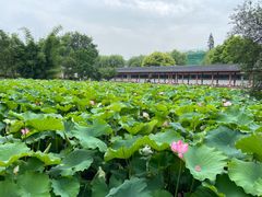 -东坡赤壁风景名胜区