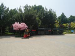 -南宫五洲植物乐园