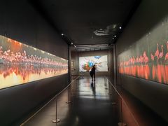 -罗红摄影艺术馆