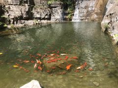 -十渡东湖港风景区