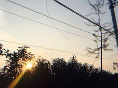 -东原时光道(秦园中路店)