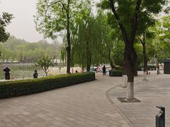 -莲湖公园