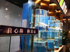 -香坝坝鲜鱼火锅(春熙路店)