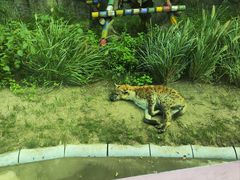 -北京野生动物园