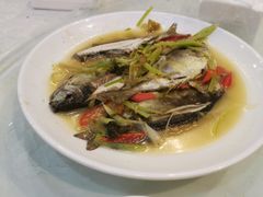 -长平老姿娘夜粥(平东一街店)
