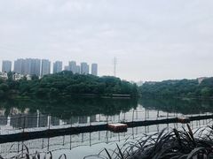 -重庆彩云湖湿地公园