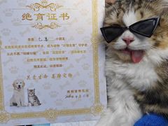 -博特宠物医院24h犬猫全科.骨科·异宠