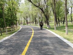 -潇河湿地公园