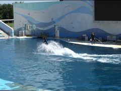 -北戴河圣蓝海洋公园