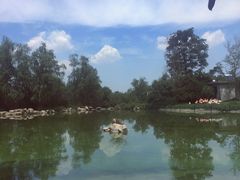 -西安秦岭野生动物园