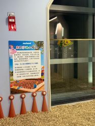 点击看大图 -meland club亲子乐园(北京芳圆里ID MALL店)