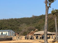 -杭州野生动物世界