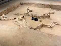 -洛阳周王城天子驾六博物馆