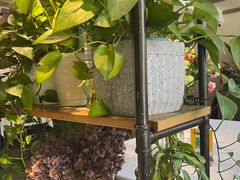 -春暖花开(西溪店)