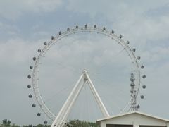 -日照海滨国家森林公园