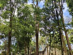 -中国大熊猫保护研究中心雅安碧峰峡基地