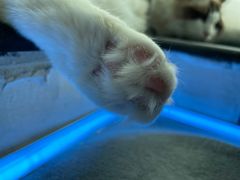 -零纪元VR体验馆·桌游(黄浦店)