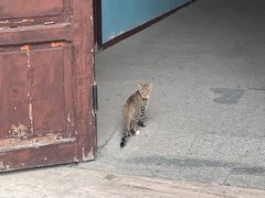 -天主教堂(莲池区)
