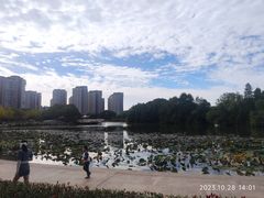 -新江湾城公园