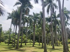 -中国科学院西双版纳热带植物园