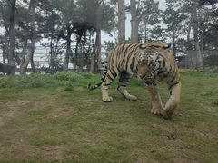 -西霞口神雕山野生动物世界