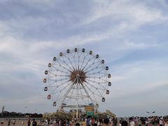 -碧海金沙