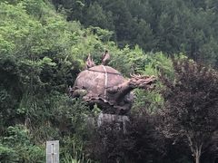 -重庆云阳龙缸景区