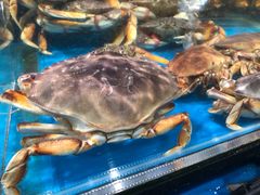 -盒马鲜生(曜一城店)
