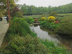 -中国茶叶博物馆(双峰馆区)