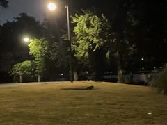 -郑记•不夜城烧烤•龙虾•虾蟹(黄鹤楼店)