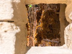 -新疆国际大巴扎