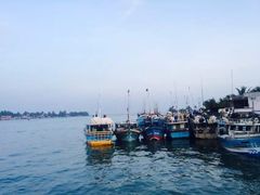 -尼甘布海鲜市场