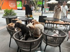 -星巴克(南宁华润幸福里店)