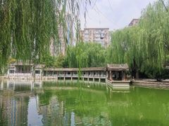 -团结湖公园