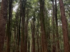 -同里国家湿地公园