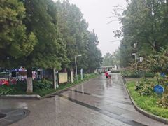 -古城公园