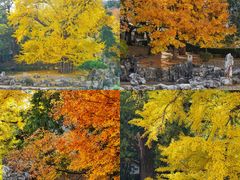 -香山公园