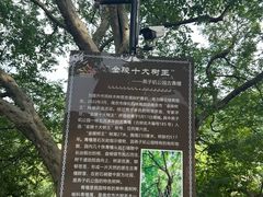 -幕燕滨江·燕子矶公园