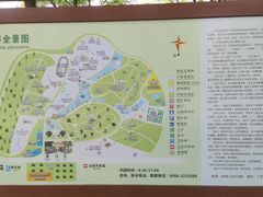 -广东茂名森林公园