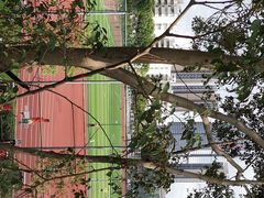 -福田体育公园