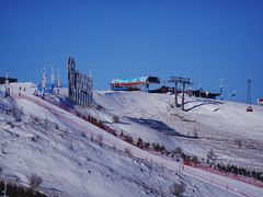 -鲜有基参鸡汤(望京新城店)