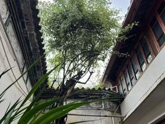 -喜洲翰林餐厅(董家百年老宅店)