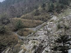 -朱雀国家森林公园